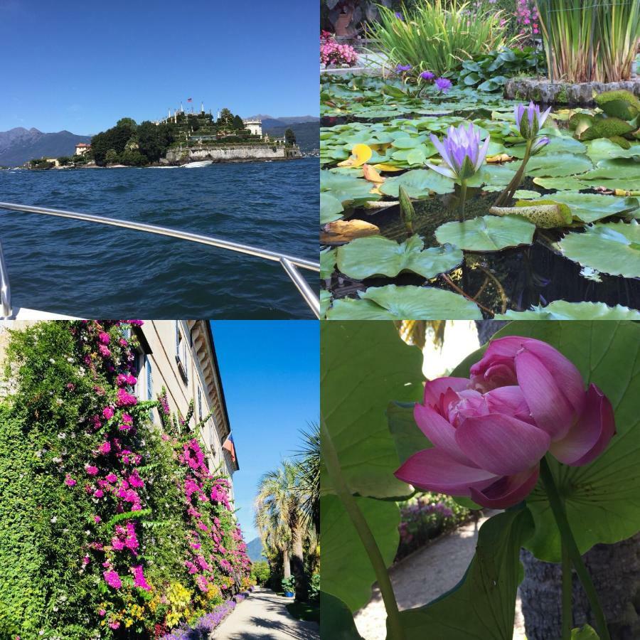 Lakeside Lago Maggiore Monvalle Eksteriør bilde